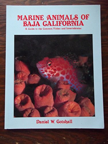 Imagen de archivo de Marine Animals of Baja California: A Guide to the Common Fishes and Invertebrates a la venta por ThriftBooks-Atlanta
