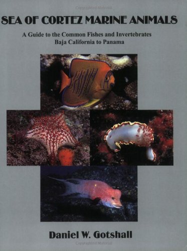 Sea of Cortez Marine Animals: A Guide to the Common Fishes and Invertebrates Baja California to P...