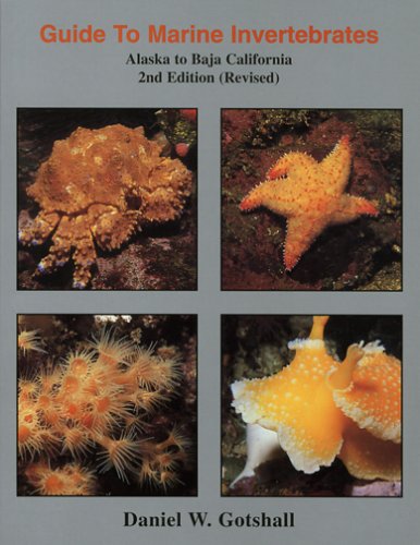 Imagen de archivo de Guide to Marine Invertebrates: Alaska to Baja California, 2nd edition (revised) a la venta por BGV Books LLC