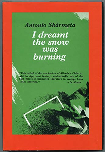 9780930523060: I Dreamt the Snow Was Burning: A Novel of Chile