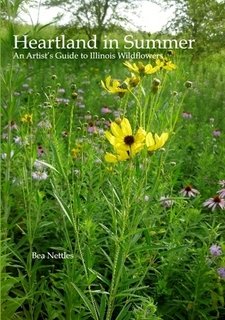 9780930810191: Heartland in Summer: An Artist's Guide to Illinois Wildflowers