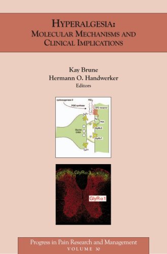 Stock image for Hyperalgesia: Molecular Mechanisms And Clinical Implications (Progress in Pain Research and Management. Volume 30) for sale by Sheila B. Amdur