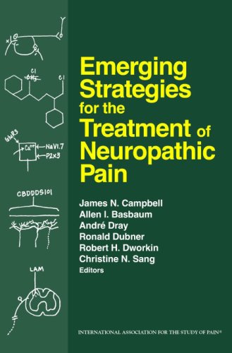 Stock image for Emerging Strategies for the Treatment of Neuropathic Pain for sale by HPB-Red