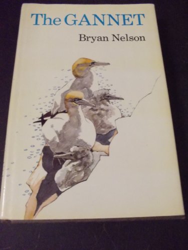 The Gannet. - Nelson, J. Bryan