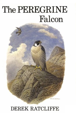 9780931130052: The Peregrine Falcon, First Edition