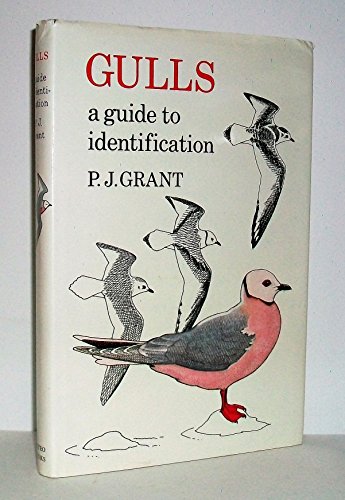 Beispielbild fr Gulls: A Guide to Identification zum Verkauf von Abacus Bookshop