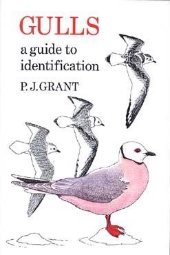 Gulls: A Guide to Identification (9780931130144) by Grant, Peter J; Grant, P J