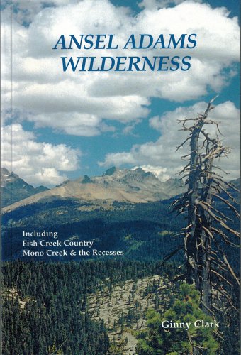 Stock image for Ansel Adam Wilderness for sale by ThriftBooks-Dallas