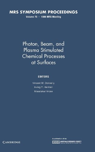 Stock image for Photon, Beam, and Plasma Stimulated Chemical Processes at Surfaces. Materials Research Society Symposia Proceedings, Volume 75 for sale by Zubal-Books, Since 1961
