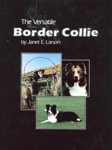 Imagen de archivo de The Versatile Border Collie a la venta por Rob the Book Man