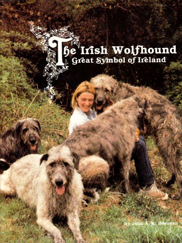 Beispielbild fr The Irish Wolfhound: Great Symbol of Ireland zum Verkauf von Ammareal