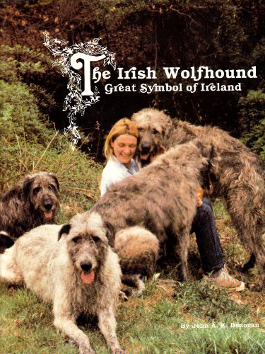 Imagen de archivo de The Irish Wolfhound: Great Symbol of Ireland a la venta por Ammareal