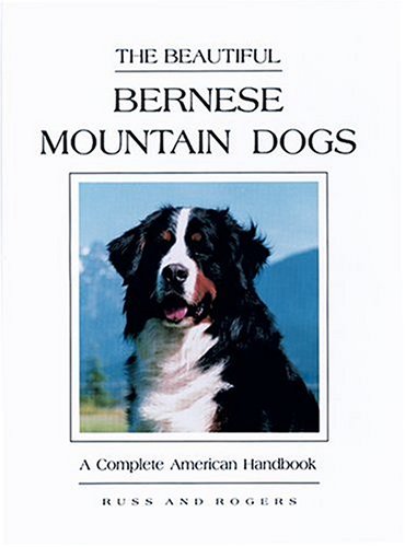 Beispielbild fr The Beautiful Bernese Mountain Dogs: A Complete American Handbook zum Verkauf von SecondSale