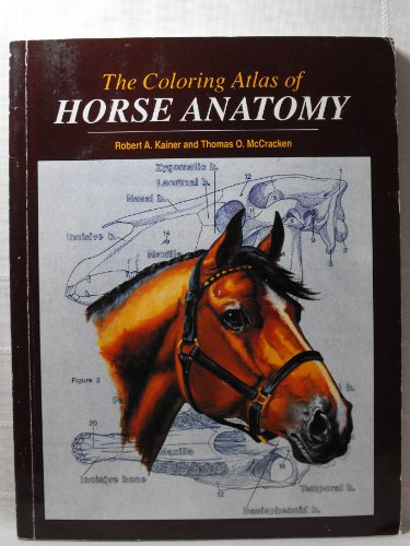 Stock image for Coloring Atlas of Horse Anatomy for sale by KuleliBooks