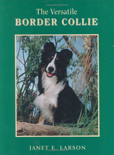 Stock image for The Versatile Border Collie for sale by HPB-Red