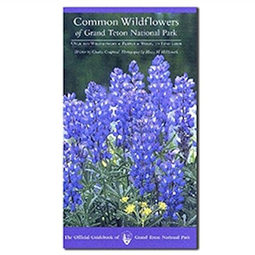 Imagen de archivo de Common Wildflowers of Grand Teton National Park a la venta por SecondSale