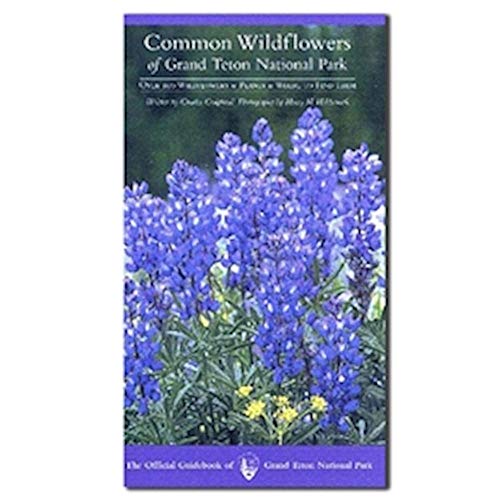 Stock image for Common Wildflowers of Grand Teton National Park for sale by SecondSale