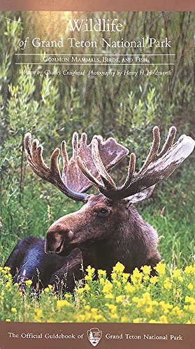 Stock image for Wildlife of Grand Teton National Park for sale by Once Upon A Time Books