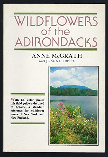 Stock image for Widflowers of the Adirondacks for sale by Kevin T. Ransom- Bookseller