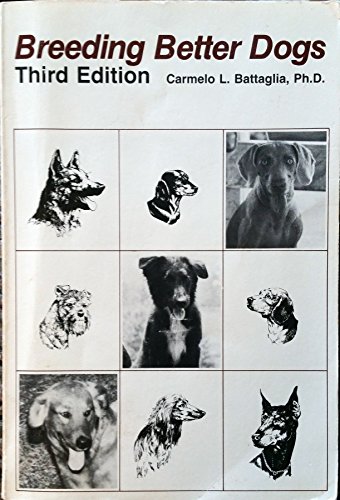 Imagen de archivo de Breeding Better Dogs a la venta por Reliant Bookstore