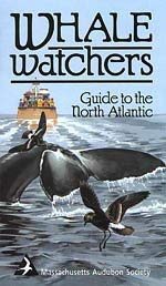 Stock image for Whale Watchers Guide to the North Atlantic for sale by Ezekial Books, LLC