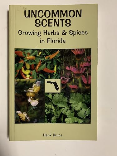 Stock image for Uncommon Scents: Growing Herbs & Spices in Florida for sale by Books Unplugged