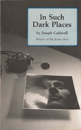 Imagen de archivo de In Such Dark Places a la venta por Better World Books