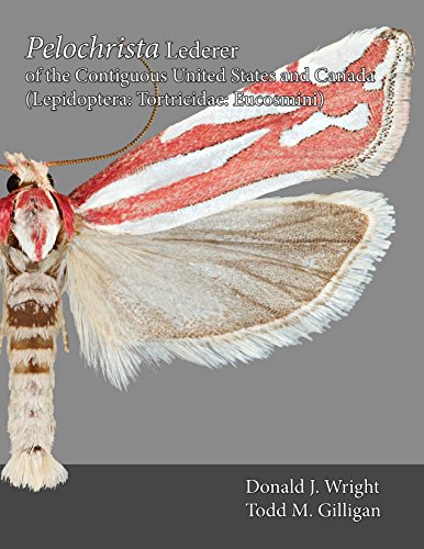 

The Moths of North America, Fascicle 9.5. Pelochrista Lederer of the Contiguous United States and Canada (Lepidoptera: Tortricidae: Eucosmini)