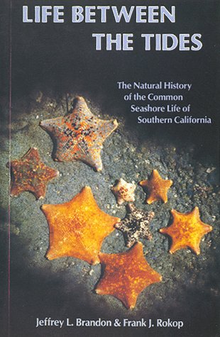 Stock image for Life Between the Tides: The Natural History of the Common Seashore Life of Southern California for sale by ThriftBooks-Dallas