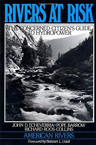 Imagen de archivo de Rivers at Risk : Concerned Citizen's Guide to Hydropower a la venta por Better World Books