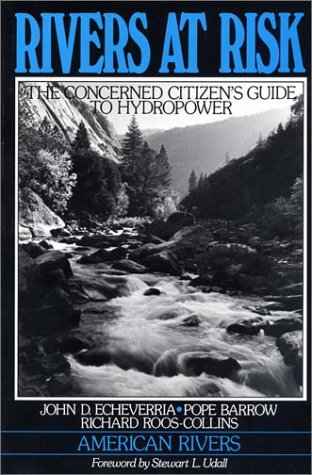 Imagen de archivo de Rivers at Risk: Concerned Citizen's Guide To Hydropower a la venta por FOLCHATT