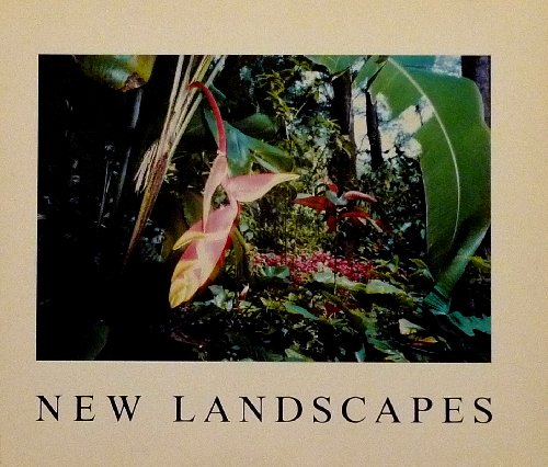 Imagen de archivo de New Landscapes (Untitled 24) a la venta por Aladdin Books