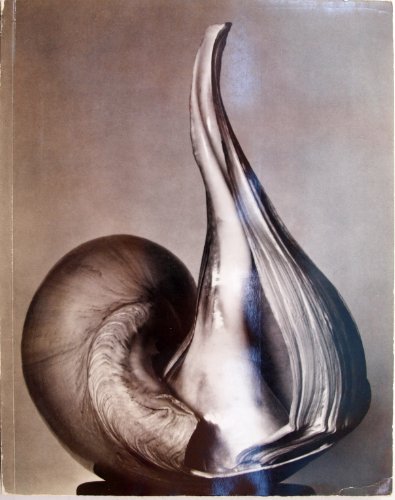 EW: 100, Centennial Essays in Honor of Edward Weston