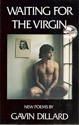 Imagen de archivo de Waiting for the Virgin: New Poems a la venta por Hennessey + Ingalls