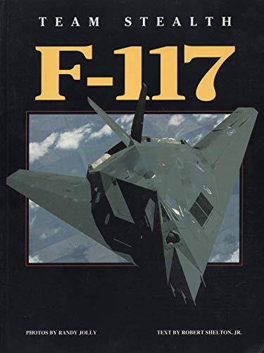 Stock image for Team Stealth F-117 for sale by W. Lamm