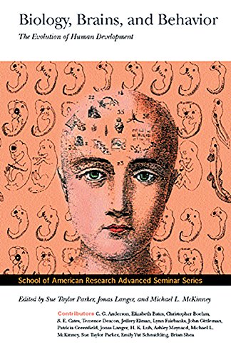 Biology, Brains, and Behavior: The Evolution of Human Development (Advanced Seminar Series, The School of American Research Press) (9780933452633) by Parker, Sue Taylor; Langer, Jonas; McKinney, Michael L.