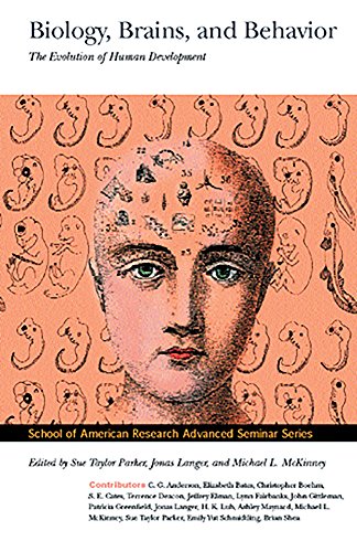 9780933452640: Biology, Brains, and Behavior: The Evolution of Human Development