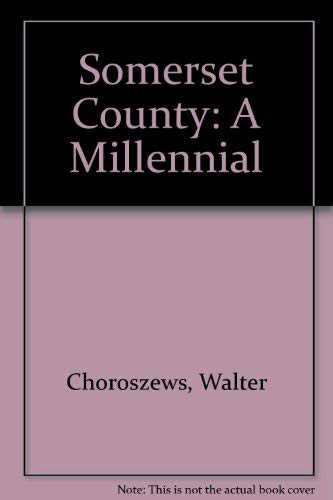 Stock image for Somerset County, a Millennial Portrait for sale by Better World Books
