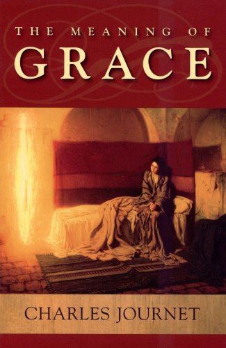 Imagen de archivo de The Meaning of Grace a la venta por GF Books, Inc.