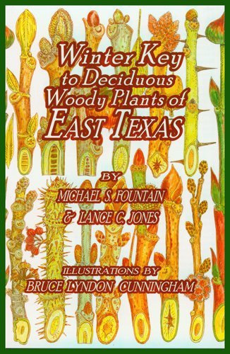 Stock image for Winter Key to Deciduous Woody Plants of East Texas for sale by HPB-Movies