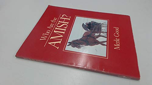 Imagen de archivo de Who Are the Amish? a la venta por Better World Books
