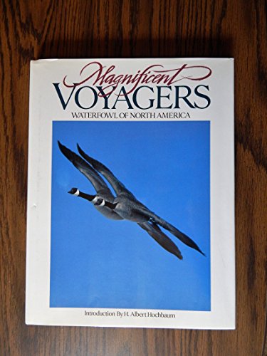 Stock image for Magnificent Voyagers : Waterfowl of North America for sale by Better World Books