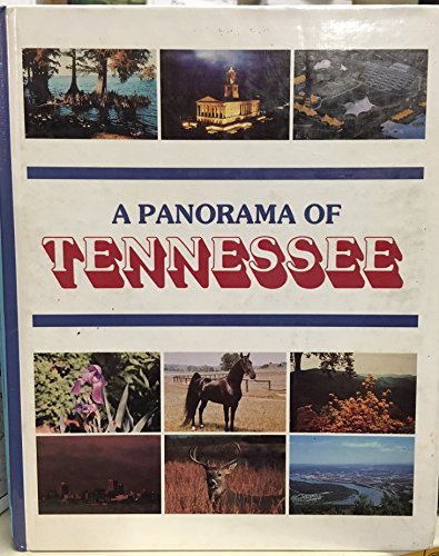 Stock image for A Panorama of Tennessee for sale by TheJunkStore