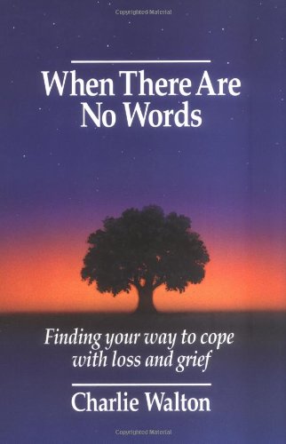 Stock image for When There Are No Words: Finding Your Way to Cope with Loss and Grief for sale by Ergodebooks