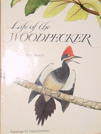 Imagen de archivo de Life of the Woodpecker a la venta por Books From California