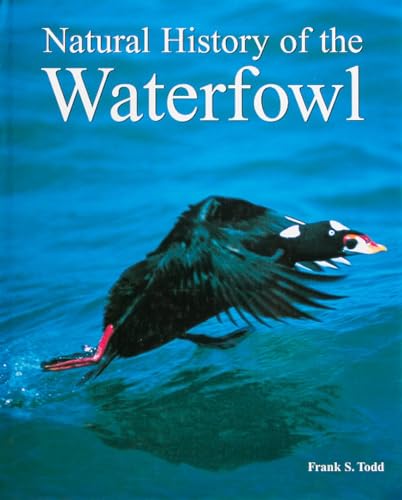 9780934797115: Natural History of the Waterfowl