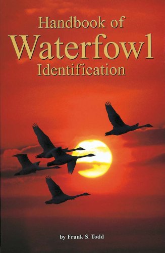 9780934797146: Handbook of Waterfowl Identification