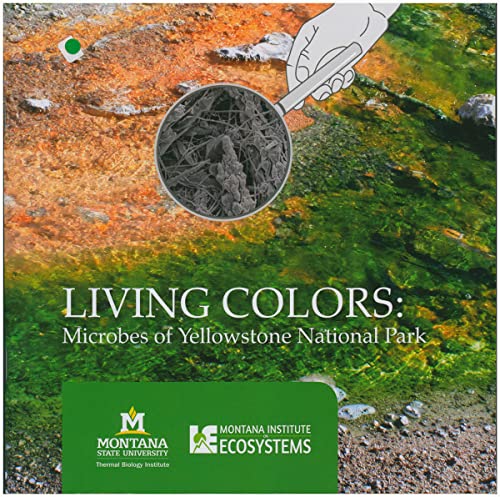 Stock image for Living Colors: Microbes of Yellowstone National Park for sale by More Than Words