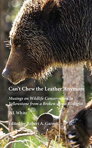 Stock image for Can't Chew the Leather Anymore: Musings on Wildlife Conservation in Yellowstone from a Broken-down Biologist for sale by HPB-Ruby