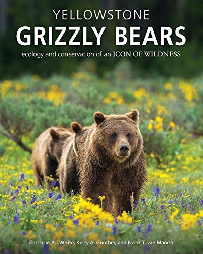 Imagen de archivo de Yellowstone Grizzly Bears: Ecology and Conservation of an Icon of Wildness a la venta por HPB-Ruby